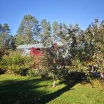 уикенд для детей и подростков около моря (6)