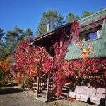 осень в лесном доме